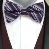 Bow tie, Grape/purple/white stripped, by 'VanDyk' USA, polyester