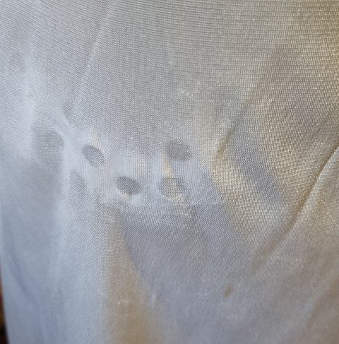 Vintage Slip, beige, nylon, by 'Target', size L - Image 5